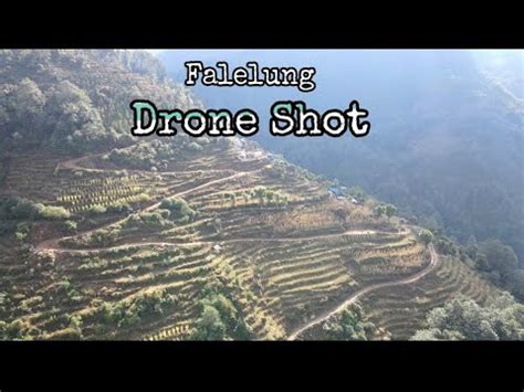 Falelung live view .